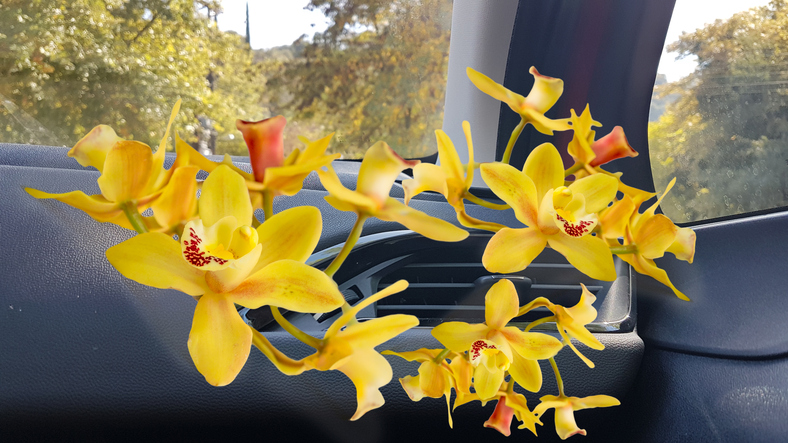 klimatizace v autě, ze které vycházejí animované žluté květy